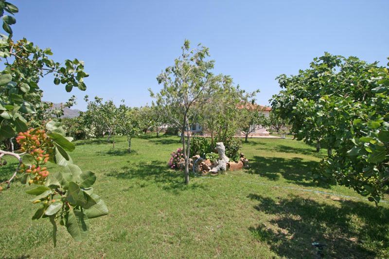 Villa Eleana La Canea Exterior foto