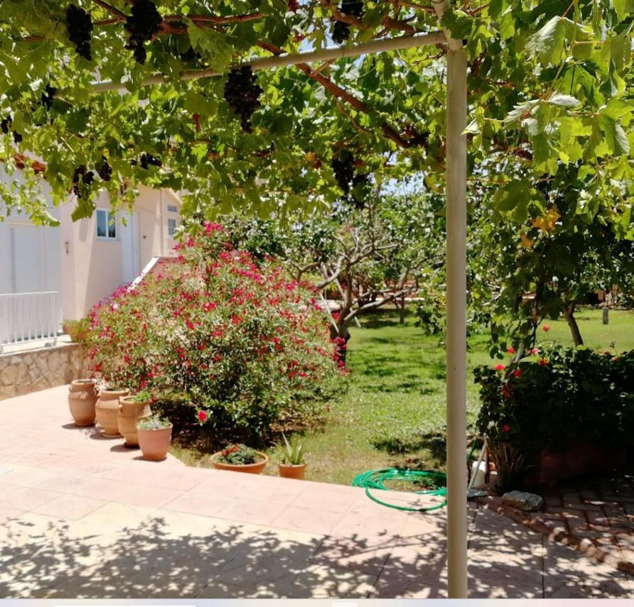 Villa Eleana La Canea Exterior foto